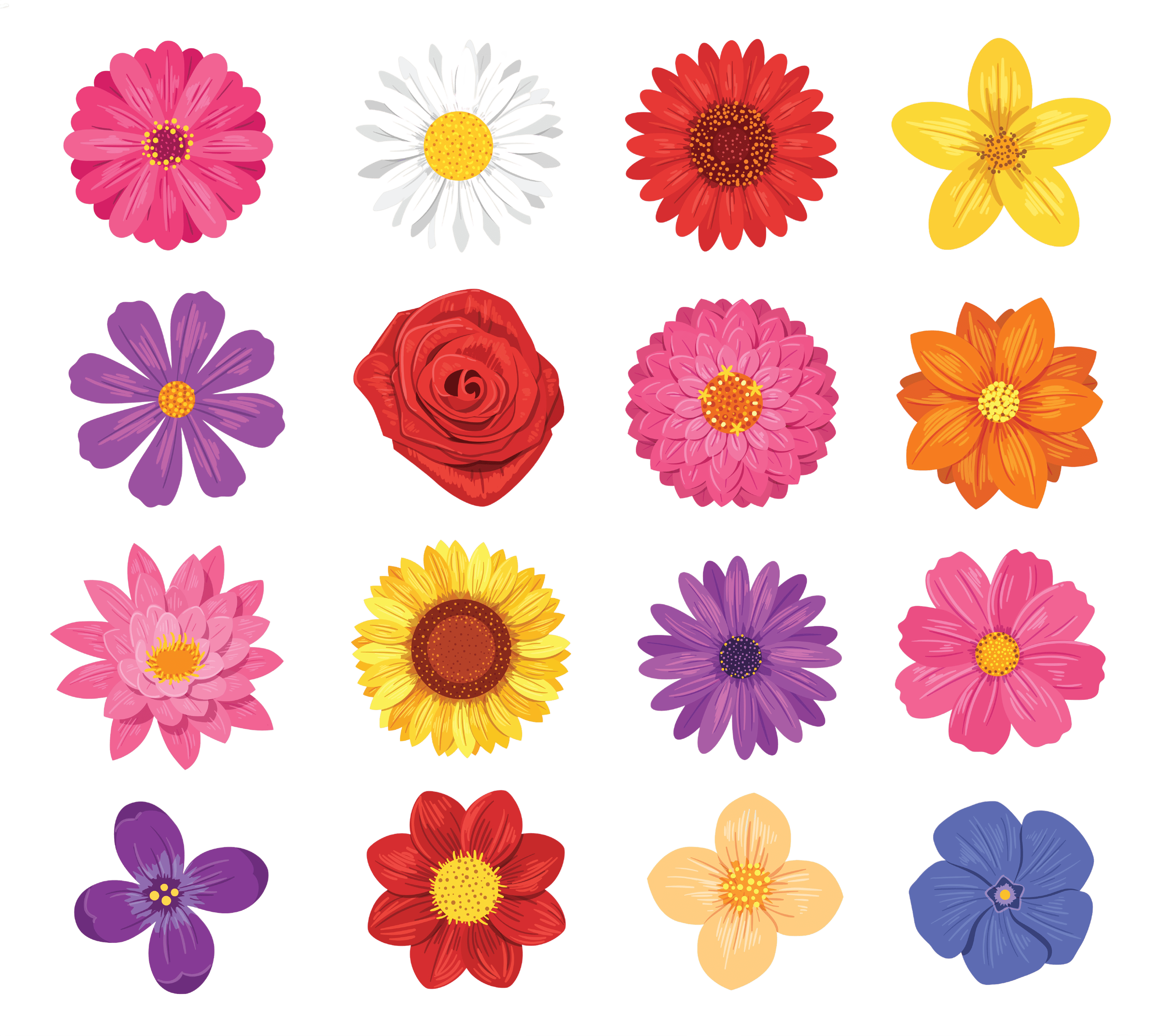 Set of various flowers