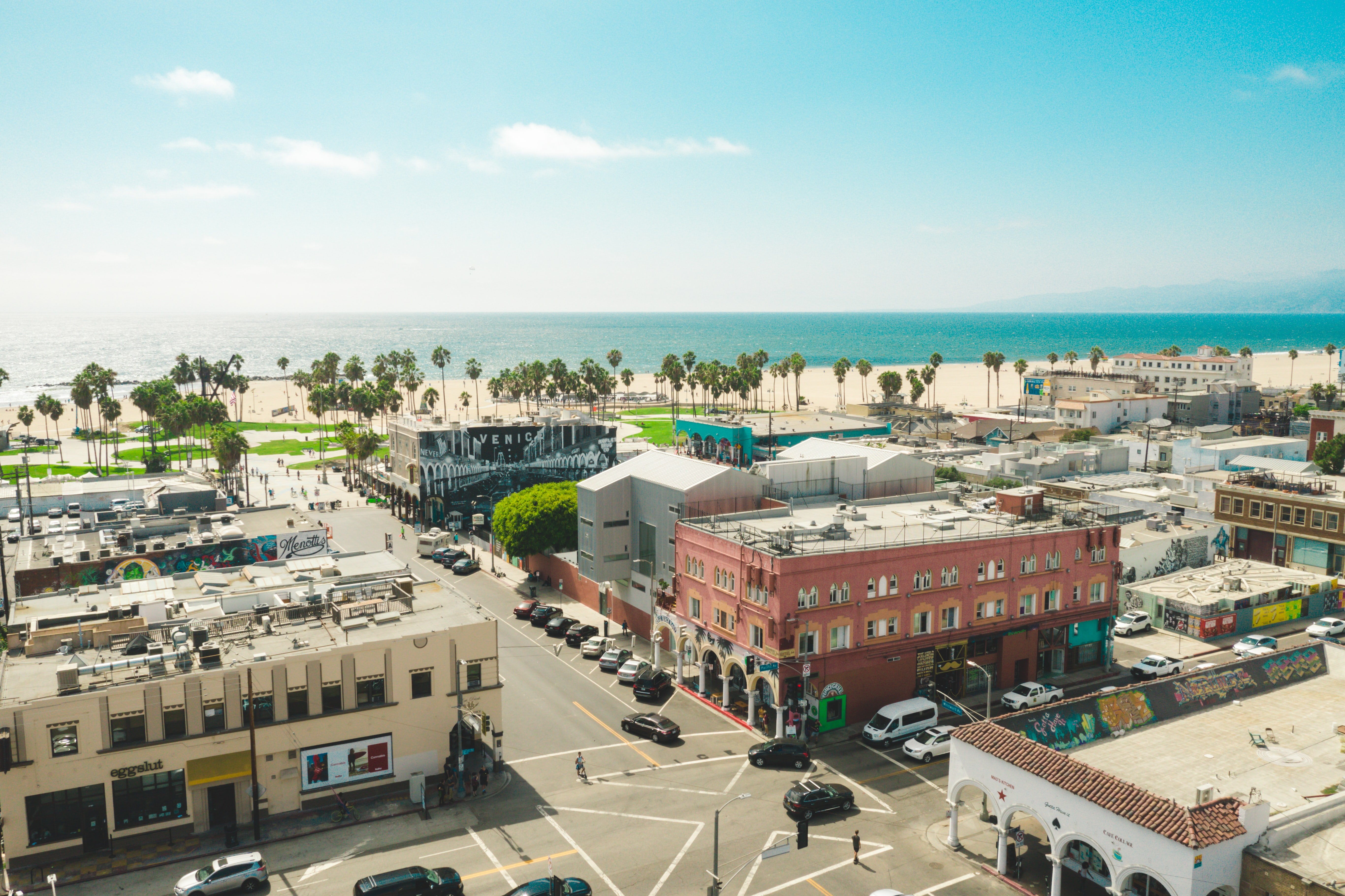 Aerial view of Venice, California, shows buildings in front of a palm tree–lined beach.