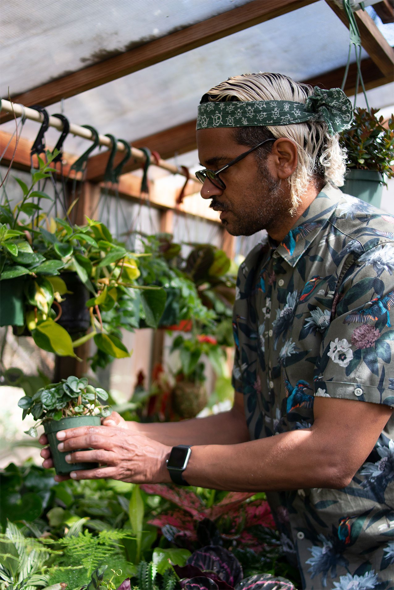 The Plant Provocateur owner holds a small pot